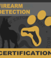 Firearm-Detection.png