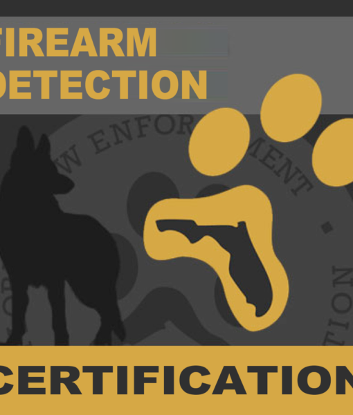 Firearm Detection Certification