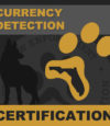 currency-det-cert.jpg