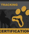 tracking-cert.jpg